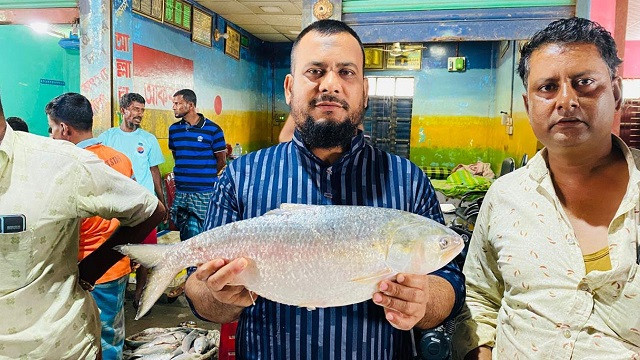 ৮০টি ইলিশ বিক্রি হলো দুই লাখ ১৩ হাজার টাকায়