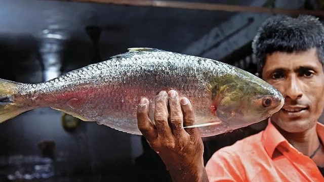 ফাইল ছবি