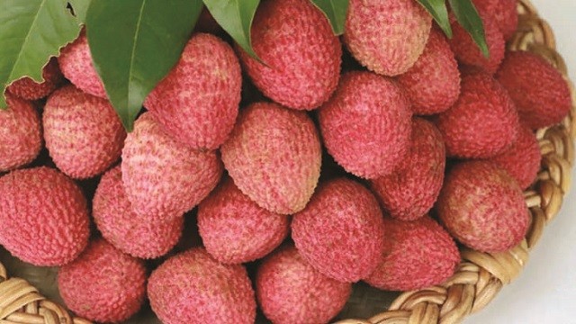 শিশুরা লিচু খাওয়ার সময় বড়রা যা করবেন