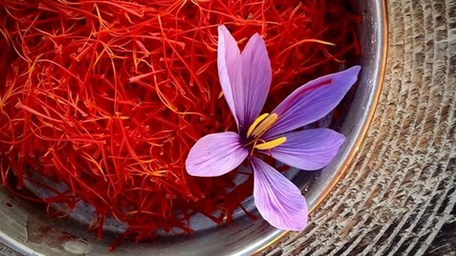 ইরানি জাফরান কেন এত বিখ্যাত?