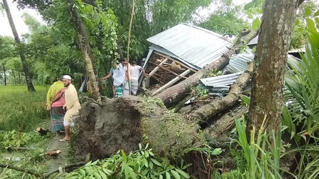 ছবি ‍: সংগৃহীত