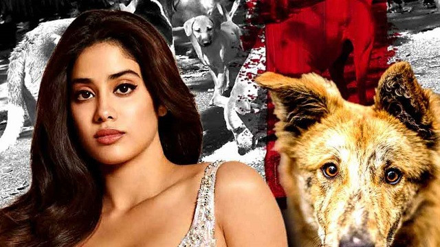 রাস্তা পরিস্কারে মারতে হবে ৩৩ লাখ কুকুর, প্রতিবাদ জাহ্নবীর