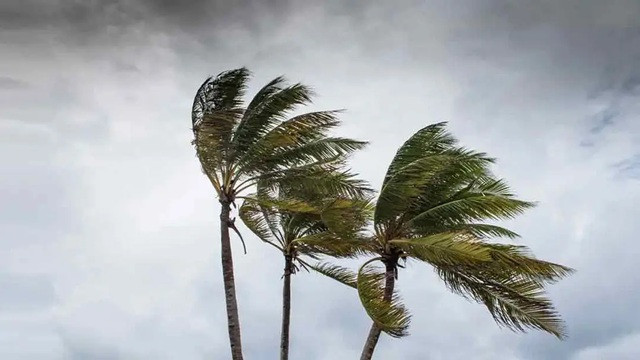 রাতের মধ্যে ৯ অঞ্চলে ঝড়ের আভাস, নদীবন্দরে সতর্কতা