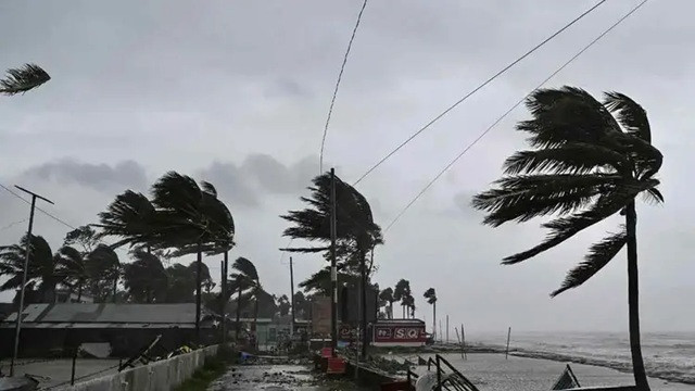 ফাইল ছবি