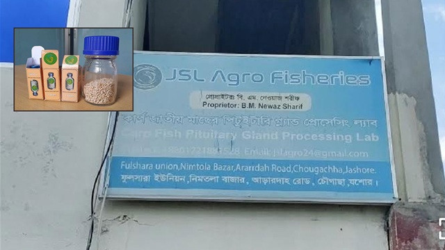 মাছের মাথায় ‘সোনার খনি’, সংগ্রহ করে লাখ টাকায় বিক্রি করেন যশোরের নেওয়াজ