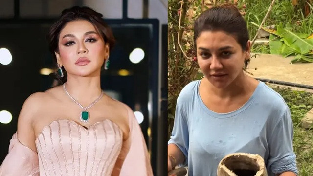 ফাইল ছবি