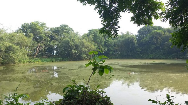 সরকারি পুকুর নিয়ে সংঘর্ষে আহত ১২, মামলায় আটক ৬