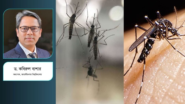 উলবাকিয়া কি ডেঙ্গু নিয়ন্ত্রণে সক্ষম?