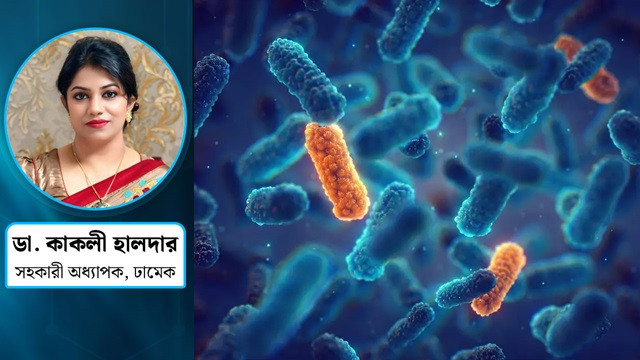 ছবি : সংগৃহীত