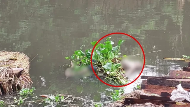 কচুরিপানার সঙ্গে খালে ভেসে এলো মরদেহ