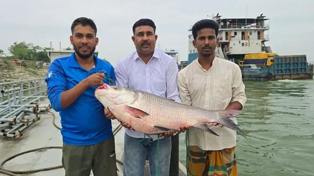 ছবি : সংগৃহীত