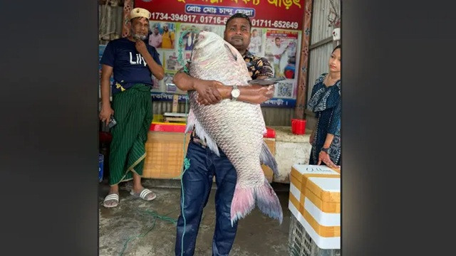 ছবি : সংগৃহীত