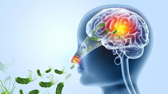 ‘মগজখেকো’ অ্যামিবা সংক্রমণ সামলাতে কেরালায় বিশেষ পদক্ষেপ