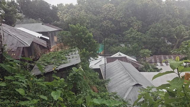 ফাইল ছবি
