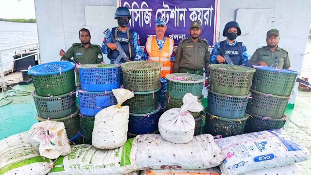 সুন্দরবনে কোস্টগার্ডের অভিযান, সাড়ে ৩ লাখ টাকা মূল্যের কাঁকড়া জব্দ