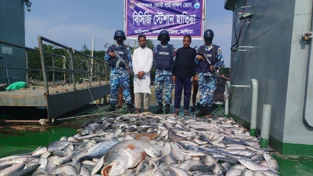 মেঘনা থেকে ধরা ২১ কেজি ওজনের সেই কোরাল মাছটি জব্দ করেছে কোস্টগার্ড