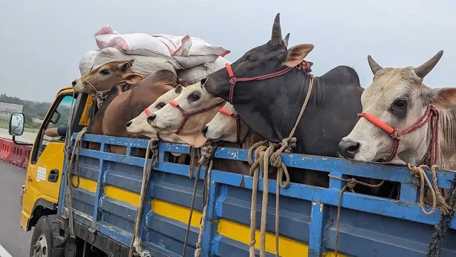 ছবি : সংগৃহীত
