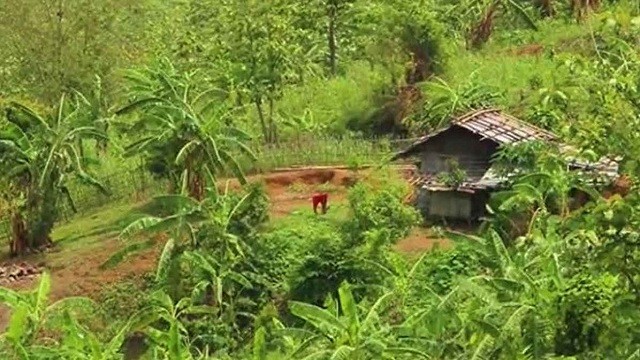 খাগড়াছড়িতে গুলিতে ইউপিডিএফের দুই কর্মী নিহত