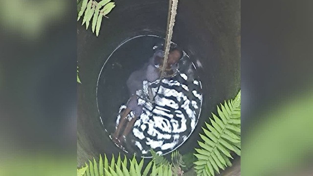 কূপে পড়লেন ৮৫ বছরের বৃদ্ধা, মৃত্যুর মুখ থেকে ফিরে বললেন ‘চা খাব’