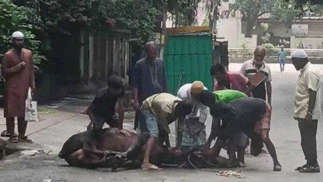 ঢাকায় ঈদের দ্বিতীয় দিনেও চলছে পশু কোরবানি