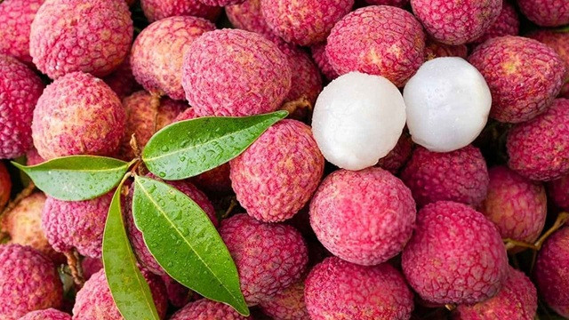 লিচু খেলে হতে পারে বিষক্রিয়া-মৃত্যুও! যেসব বিষয় খেয়াল রাখবেন