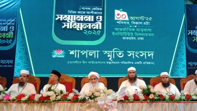 শাপলার চেতনা আগামীর বাংলাদেশের মাইলফলক: মামুনুল হক