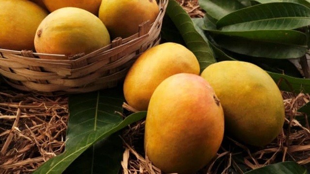 নিয়মিত আম খেলে কমবে হার্ট অ্যাটাকের ঝুঁকি