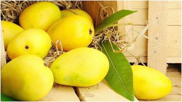 ভারতীয় আমের বিশাল চালান ফিরিয়ে দিলো যুক্তরাষ্ট্র