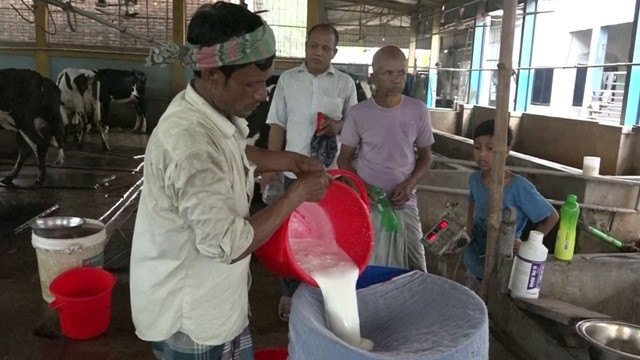 নীলফামারীতে বেড়েছে দুধ উৎপাদন, তবু মিটছে না চাহিদা