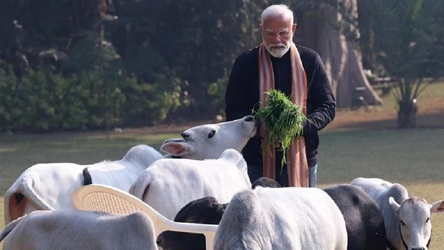 ‘ভারতের হিন্দুত্ববাদীদের ছাড়া দানব এখন নিয়ন্ত্রণের বাইরে’