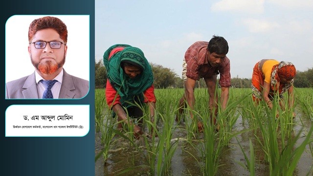 খোরপোশের কৃষি বনাম বাণিজ্যিক কৃষি