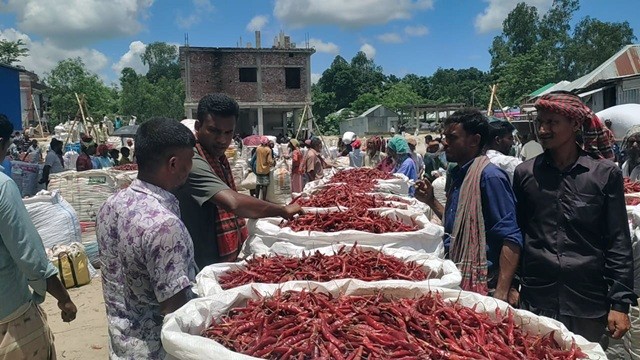ব্রহ্মপুত্রের পাড়ে লাল মরিচের অস্থায়ী হাটে ব্যবসায়ীদের ভোগান্তি