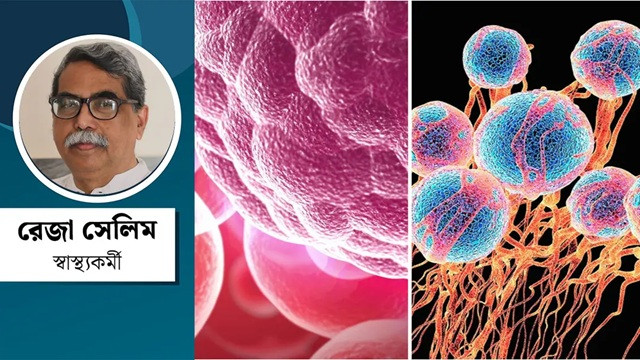 ছবি ‍: সংগৃহীত