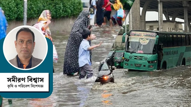 ছবি ‍: সংগৃহীত
