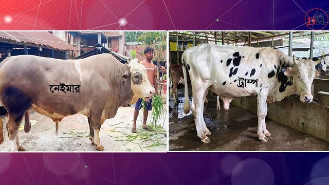 ছবি : সংগৃহীত