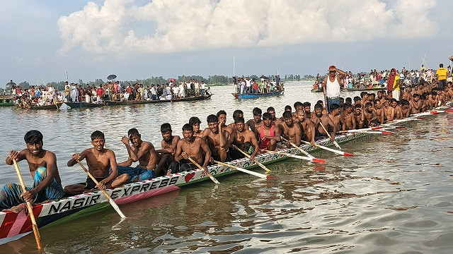 চলনবিলে নৌকাবাইচ প্রতিযোগিতা