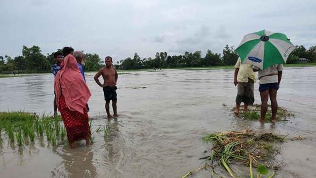 তিস্তার পানিতে ডিমলা প্লাবিত, পানিবন্দি হাজারো মানুষ