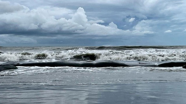 লঘুচাপটি সামান্য উত্তর-পশ্চিম দিকে সরে গেছে