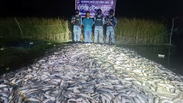 ছবি : সংগৃহীত