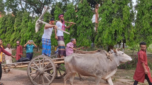 বর্ষবরণ আনন্দ শোভাযাত্রায় গরুর গাড়ি