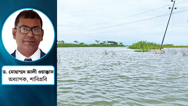 হাওর ভরিয়ে হবে বিশ্ববিদ্যালয়, কেন?