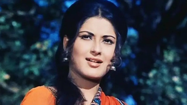 অন্তঃসত্ত্বা অবস্থায় ধস্তাধস্তি, হাসপাতালে নিতে হয়েছিল এই নায়িকাকে