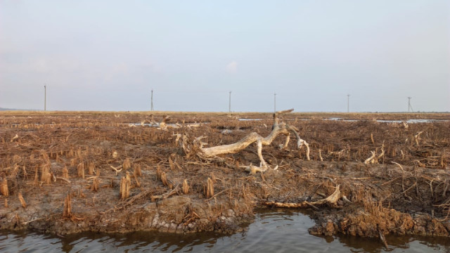 ছবি: দৈনিক সময়