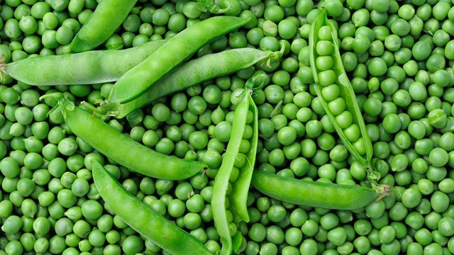 শীতের মটরশুঁটি সংরক্ষণ করুন বছরজুড়ে, জানুন উপায়