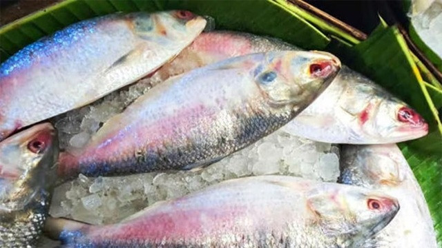 ইলিশে মেলে যেসব উপকারিতা