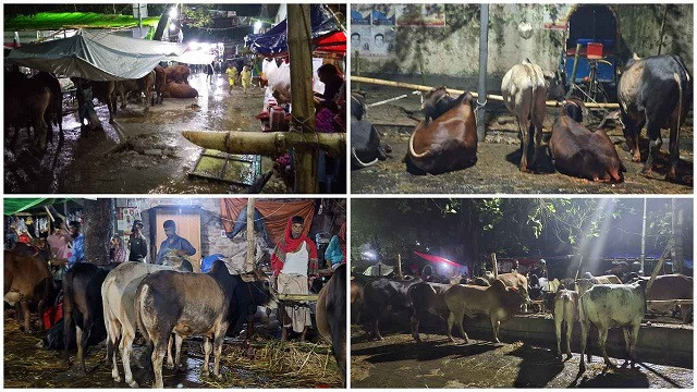 ছবি ‍: সংগৃহীত