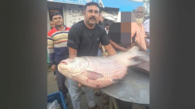ছবি ‍: সংগৃহীত