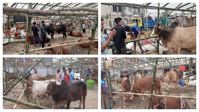 কমলাপুর হাটে আসছে কোরবানির পশু, বিক্রি জমবে শুক্রবার