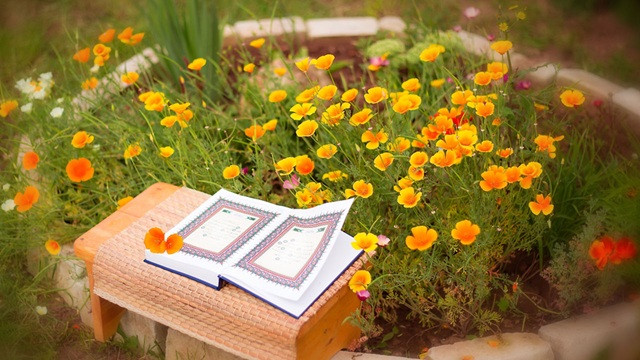 জান্নাতে নবী-রাসুলদের সঙ্গে সাক্ষাতের সুযোগ পাবেন যারা