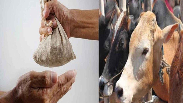 কোরবানির টাকা সদকা করে দিলে সওয়াব বেশি হবে?